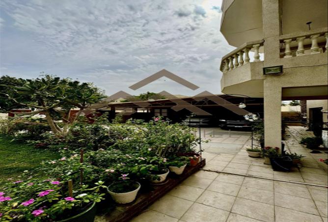 52931585 - صورة العقار 3