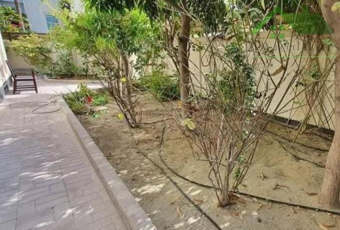 51353181 - Property Image 3