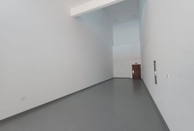 56066030 - Property Image 3