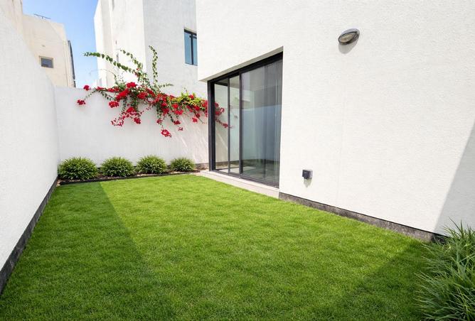 52222894 - صورة العقار 2