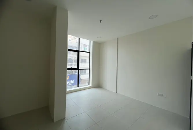 55950028 - Property Image 3