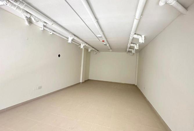 53655436 - Property Image 3