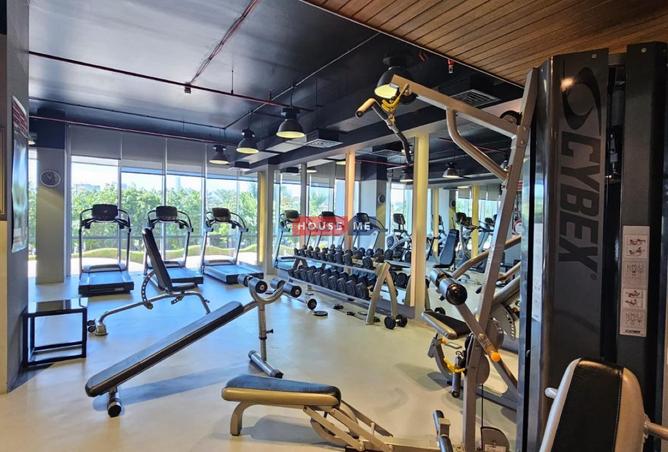 52728081 - Property Image 3