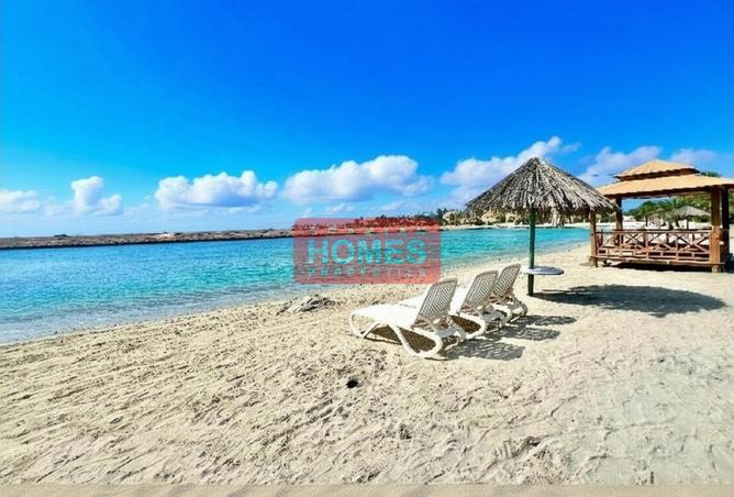 53111498 - Property Image 2