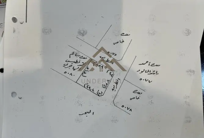 56182539 - Property Image 3