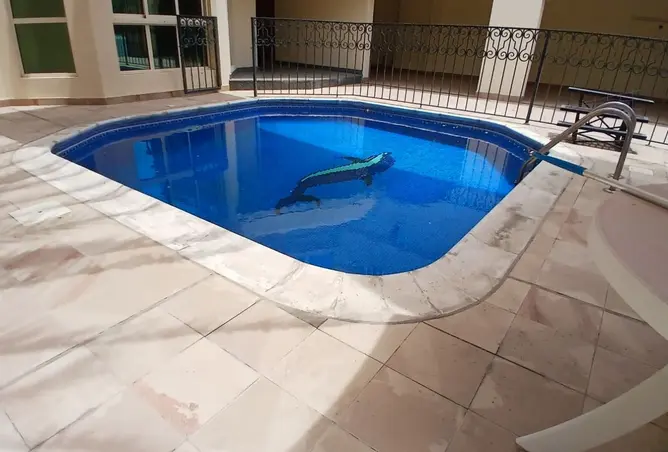 55950690 - Property Image 2