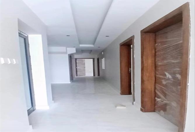 52223266 - صورة العقار 3