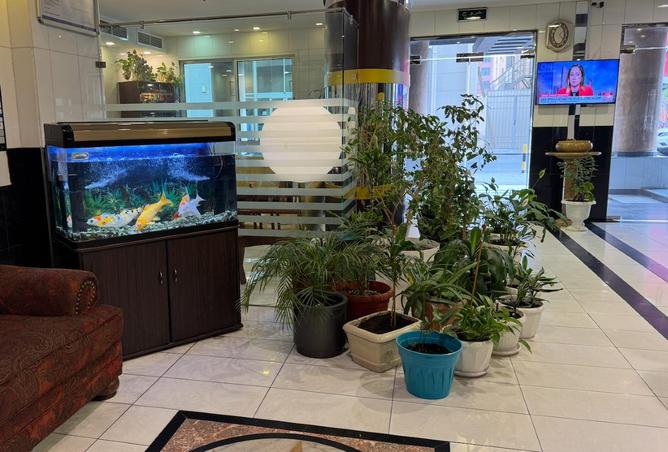 52489461 - Property Image 3