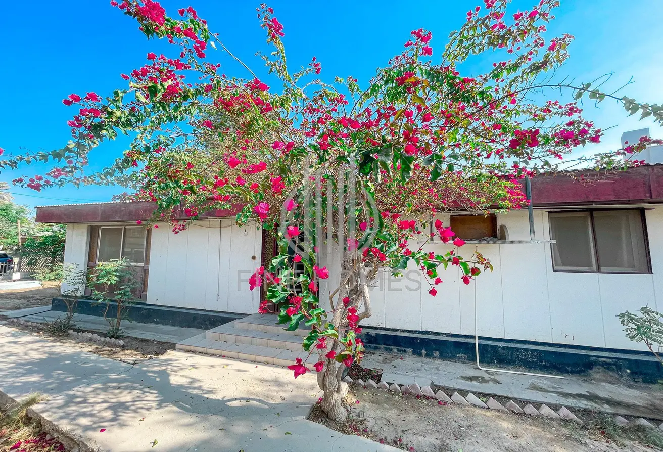 57207843 - Property Main Image