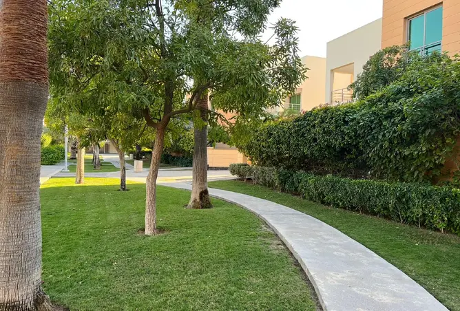 55773877 - صورة العقار 2