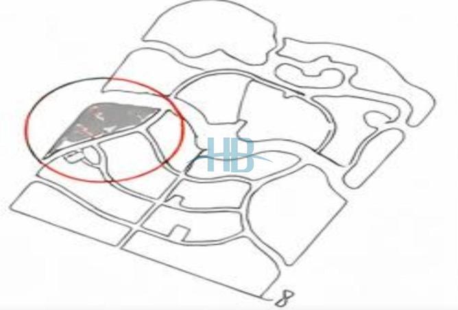 51352913 - Property Image 2