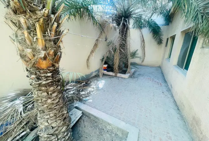 54451585 - Property Image 3