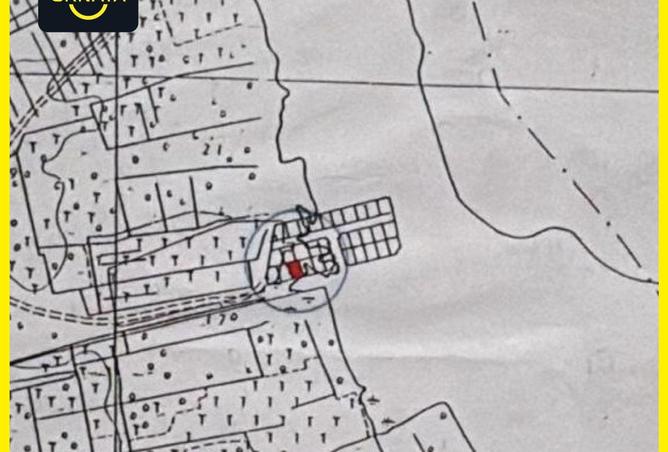 53710256 - Property Image 2