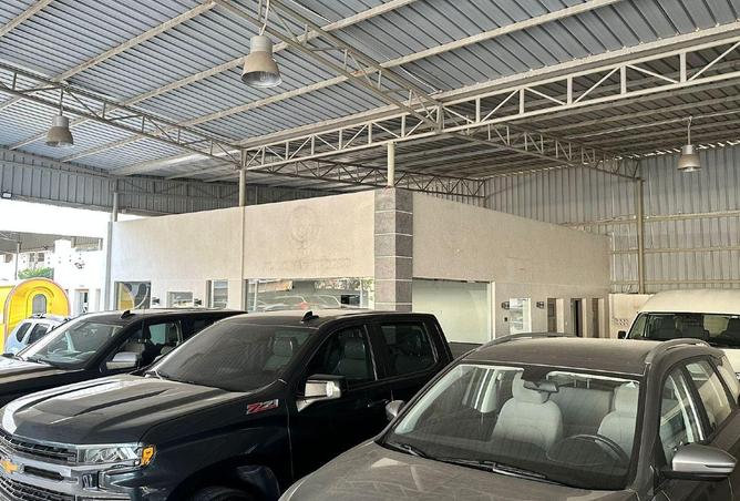 51174539 - صورة العقار 3