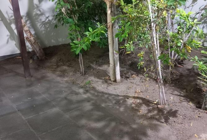 54941481 - صورة العقار 2