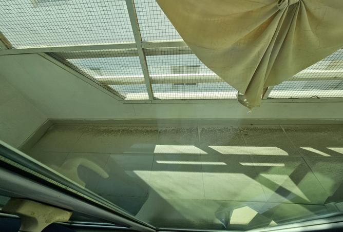 52436758 - Property Image 3