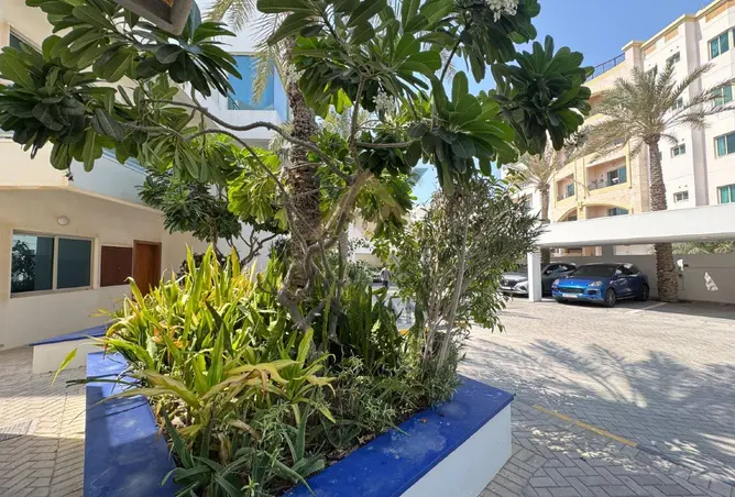 57996333 - صورة العقار 3