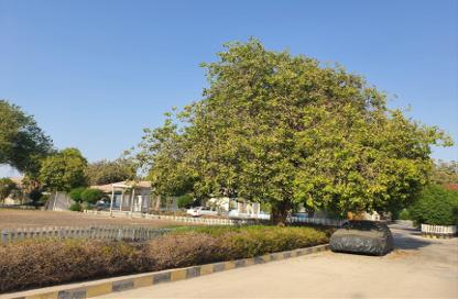 Compound - 5 Bedrooms - 4 Bathrooms for sale in Budaiya - Northern Governorate