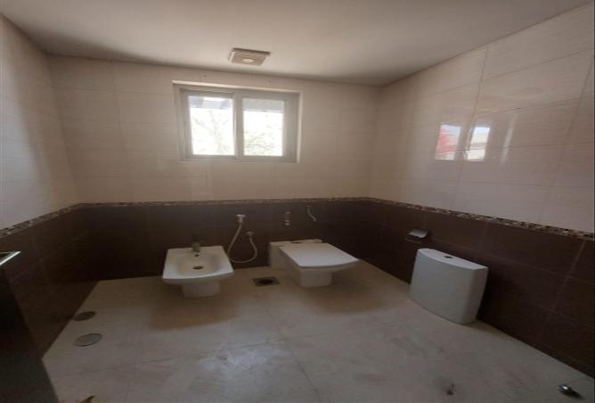 53681794 - Property Image 2