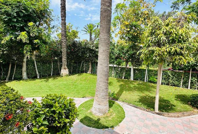 53006662 - Property Image 2