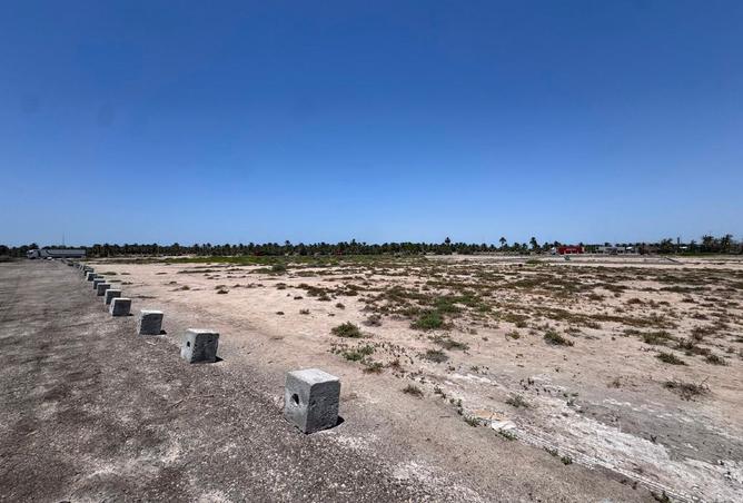 55283542 - Property Image 3