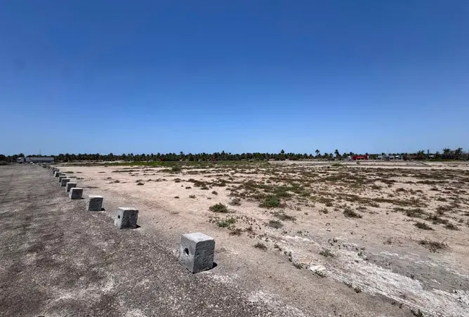 55283542 - Property Image 3